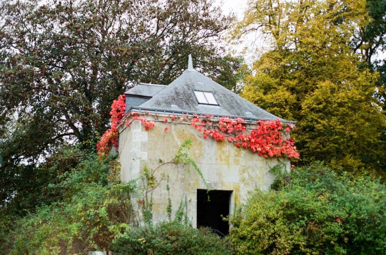 Chateau De La Huberdiere Nazelles-Negron Luaran gambar
