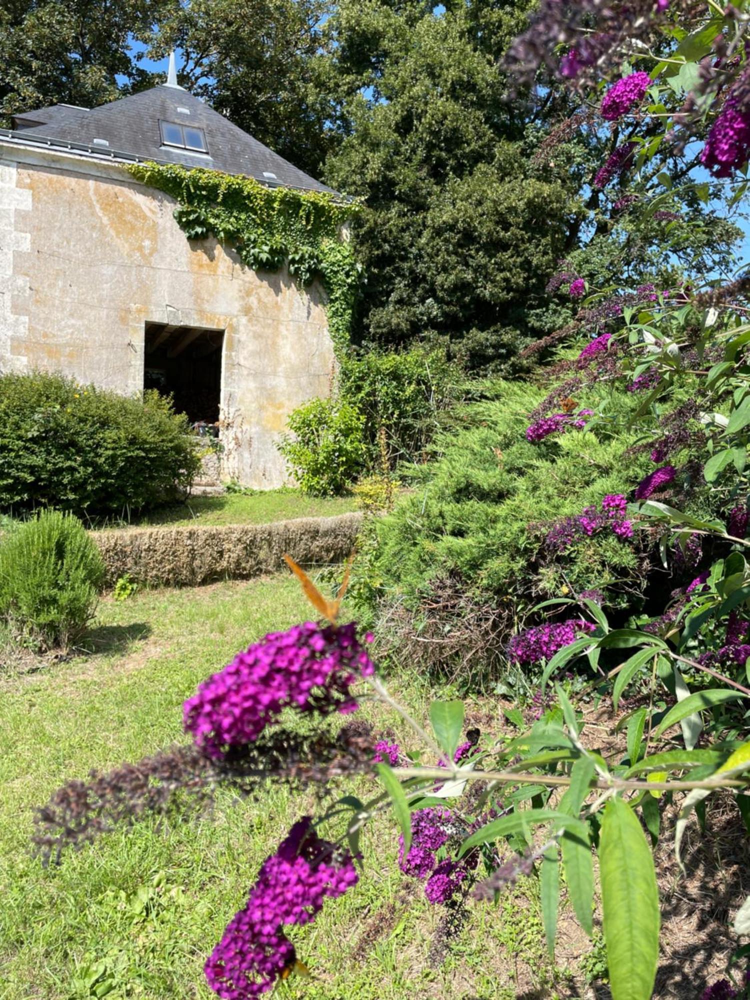 Chateau De La Huberdiere Nazelles-Negron Luaran gambar