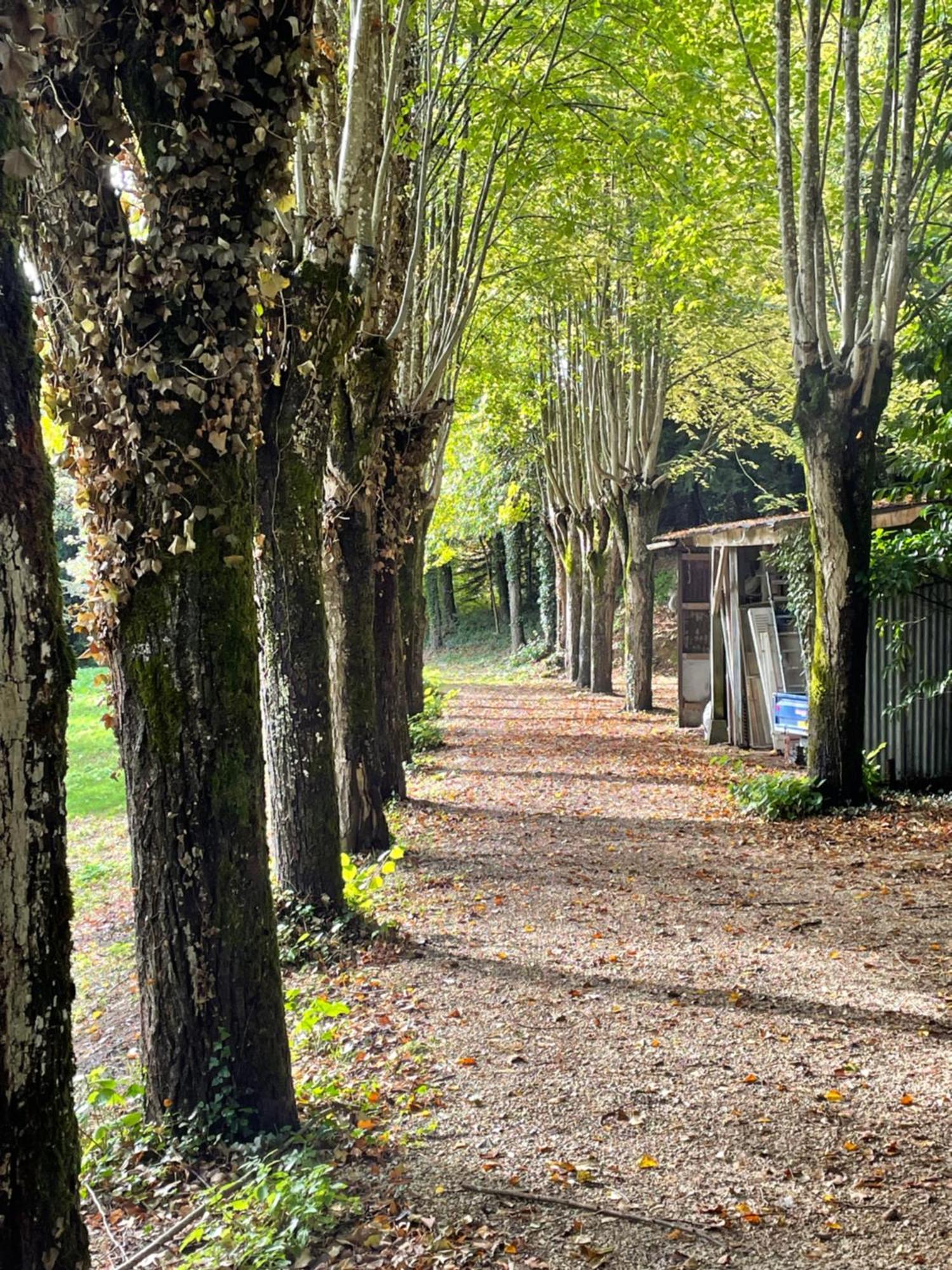 Chateau De La Huberdiere Nazelles-Negron Luaran gambar