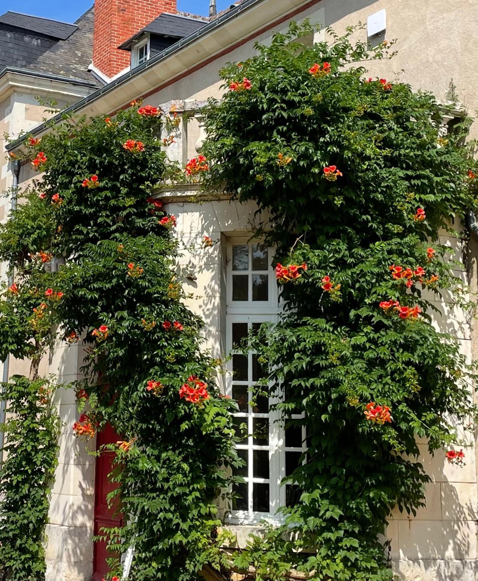 Chateau De La Huberdiere Nazelles-Negron Luaran gambar