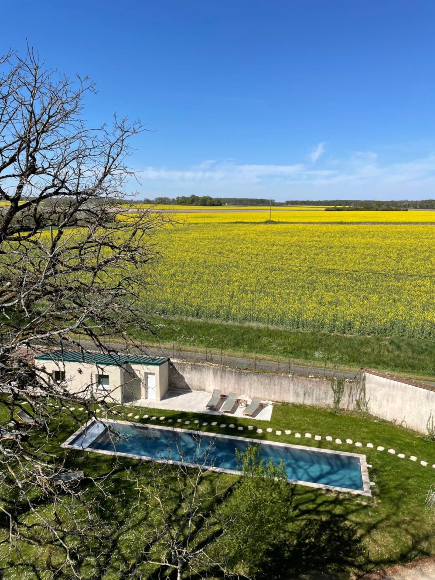 Chateau De La Huberdiere Nazelles-Negron Luaran gambar
